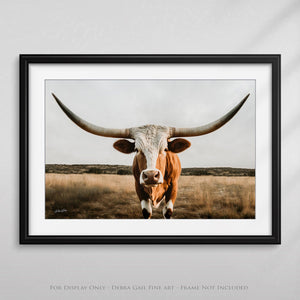 Texas Longhorn wall canvas barnwood framed Western fine art print by Debra Gail Fine Art