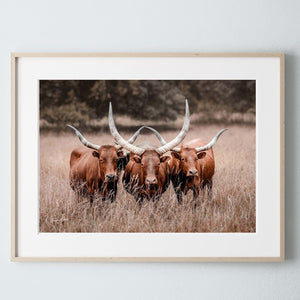 Texas longhorn canvas wall art Western style decor large cow print framed gallery