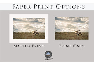 Longhorn wall decor – rustic Western fine art print by Debra Gail Fine Art