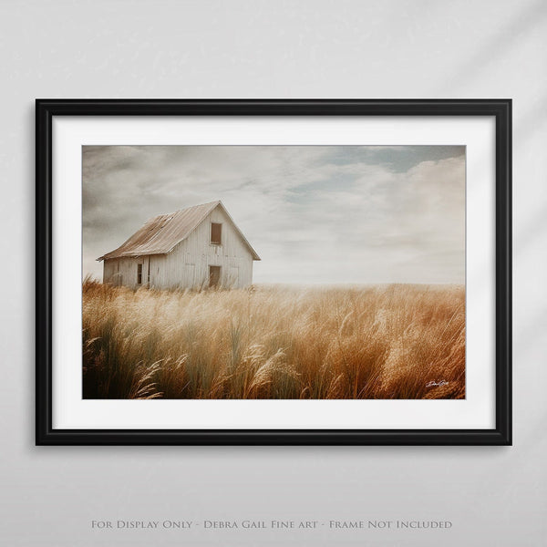 Debra Gail Fine Art Photo Print / 10x8 VINTAGE BARN LANDSCAPE PRINT - GOLDEN FALL GRASS