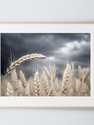 Wheat field wall art – Kansas prairie agriculture photography by Debra Gail Fine Art