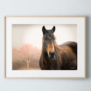 Wild Horse wall art – rustic Western fine art print by Debra Gail Fine Art