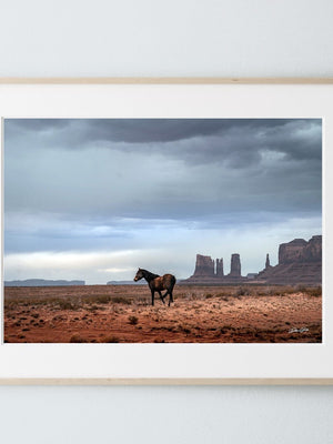 Southwest wild horse decor canvas art – rustic Western decor