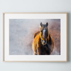 Wild Horse wall art – rustic Western fine art print by Debra Gail Fine Art