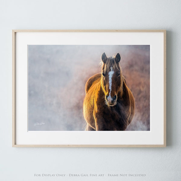 Debra Gail Fine Art Photo Print / 10x8 WILD HORSE PRINT - HORSE LOVERS PHOTOGRAPHY DECOR