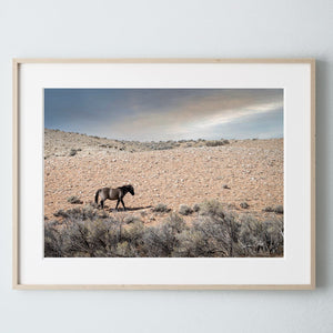 Wild Horse wall art – rustic Western fine art print by Debra Gail Fine Art