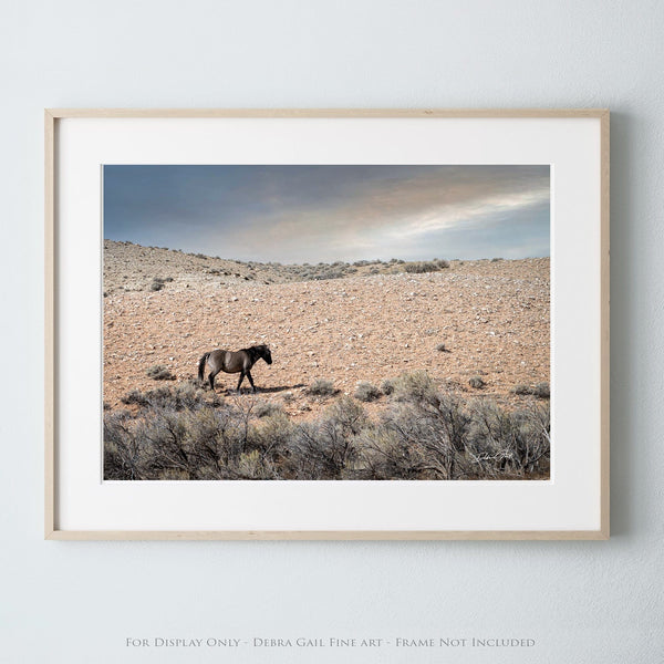 Debra Gail Fine Art Photo Print / 10x8 WILD MUSTANG PHOTOGRAPHY - SOUTHWESTERN DECOR