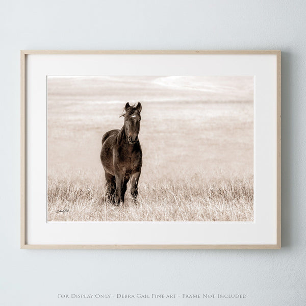 Debra Gail Fine Art Photo Print / 10x8 WILD MUSTANG PRINT - HORSE LOVERS PHOTOGRAPHY