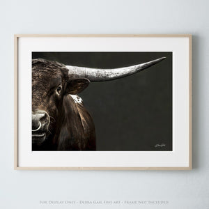 Texas Longhorn wall art canvas – Western ranch photography print by Debra Gail Fine Art
