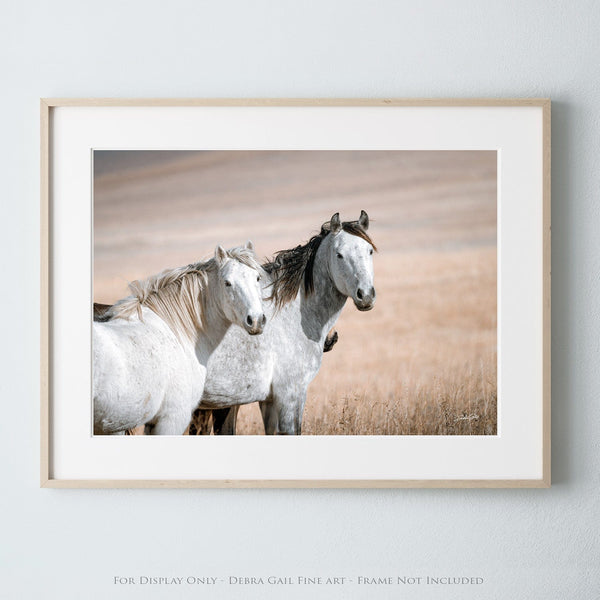 Debra Gail Fine Art Photo Print / 18x12 MUSTANG HORSE PRINT - PERFECT FOR HORSE LOVERS