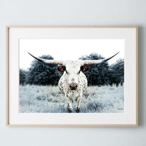 Longhorn wall canvas barnwood framed Western fine art print by Debra Gail Fine Art