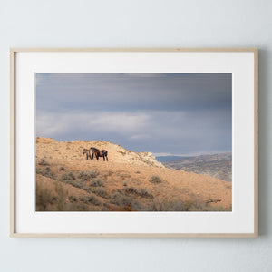 Wild Horse wall art – rustic Western fine art print by Debra Gail Fine Art