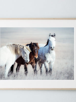 Wild horses wall art canvas print – rustic flint hills prairie farmhouse western decor