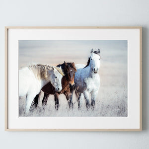 Wild horses wall art canvas print – rustic flint hills prairie farmhouse western decor