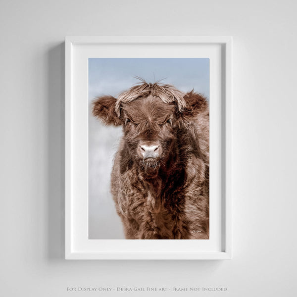 Debra Gail Fine Art Photo Print / 8x10 ADORABLE HIGHLAND COW CALF ART PRINT - FARMHOUSE DECOR