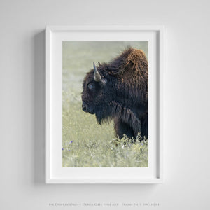 Debra Gail Fine Art Photo Print / 8x10 BISON CLOSE UP - VERTICAL RUSTIC PRINT