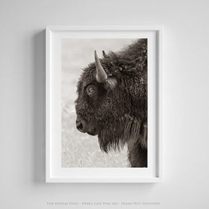 Bison wall art – rustic prairie photography print by Debra Gail Fine Art