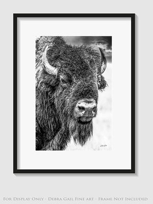 Bison wall art – neutral sepia rustic prairie photography print by Debra Gail Fine Art