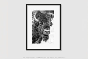 Bison wall art – neutral sepia rustic prairie photography print by Debra Gail Fine Art