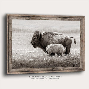 Bison wall art – rustic prairie photography print by Debra Gail Fine Art