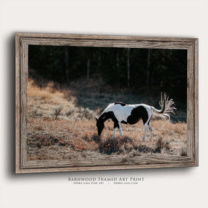 Wild Horse wall art – rustic Western fine art print by Debra Gail Fine Art