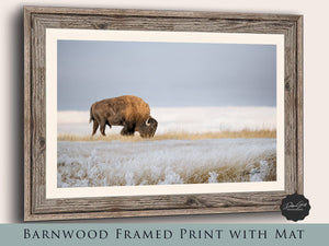 Bison wall art canvas artwork in rustic frame American buffalo Western decor