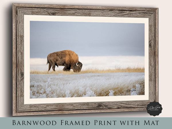 Debra Gail Fine Art Reclaimed Barnwood Framed Print / 10x8 BISON ART PRINT or CANVAS - WINTER LANDSCAPE IN KANSAS