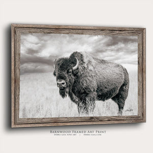 Bison wall art – rustic prairie photography print by Debra Gail Fine Art
