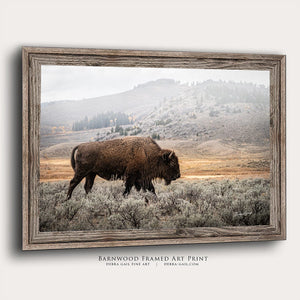 Debra Gail Fine Art Reclaimed Barnwood Framed Print / 10x8 Bison Bull Wall Art - Yellowstone Photography