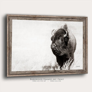 Bison wall art – rustic prairie photography print by Debra Gail Fine Art