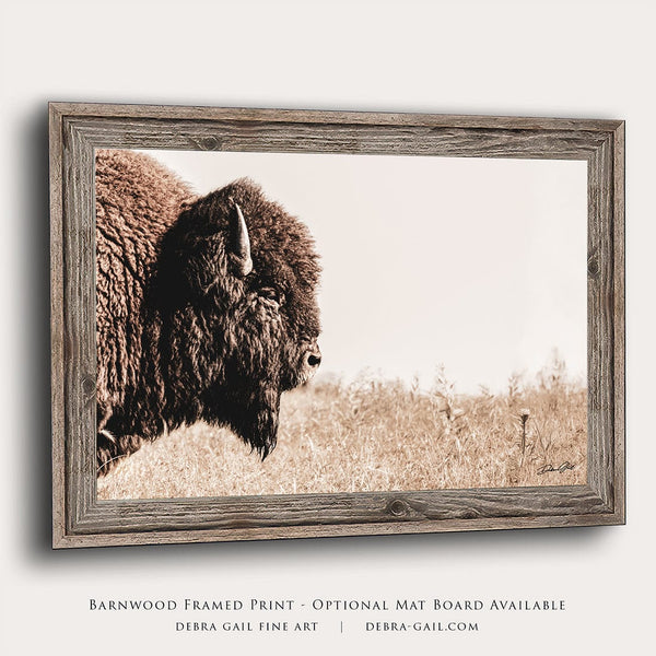 Debra Gail Fine Art Reclaimed Barnwood Framed Print / 10x8 Bison Close Up - Rustic Western Wall Art - Fine Art Canvas or Print