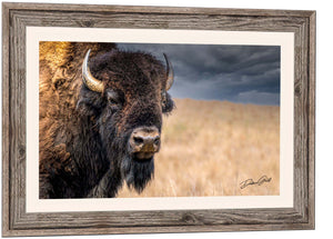 Bison wall art – neutral sepia rustic prairie photography print by Debra Gail Fine Art