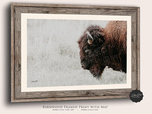 Bison wall art – neutral sepia rustic prairie photography print by Debra Gail Fine Art