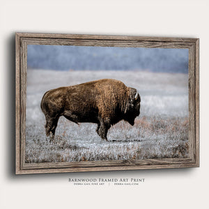 Debra Gail Fine Art Reclaimed Barnwood Framed Print / 10x8 BISON WALL ART - BLUE EARTH TONES