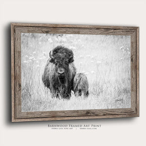 Bison wall art – rustic prairie photography print by Debra Gail Fine Art