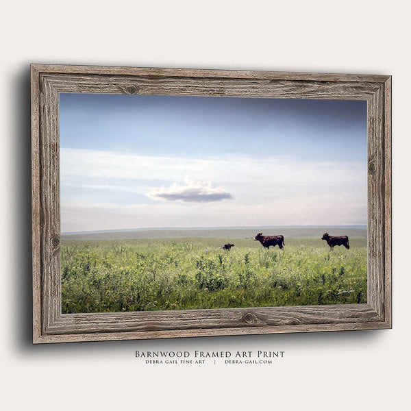 Debra Gail Fine Art Reclaimed Barnwood Framed Print / 10x8 BLACK ANGUS BEAUTIES - KANSAS PHOTOGRAPHY