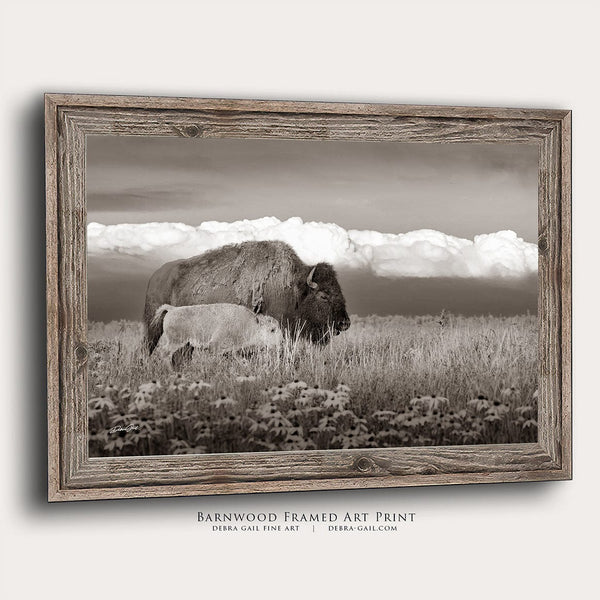 Debra Gail Fine Art Reclaimed Barnwood Framed Print / 10x8 BUFFALO AND CALF - OKLAHOMA PLAINS PHOTOGRAPHY