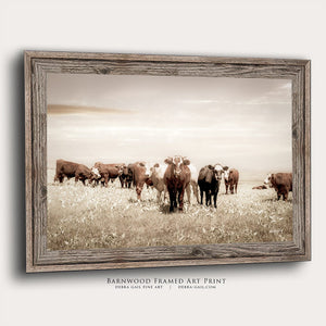 Cattle cow wall decor canvas – farmhouse fine art print by Debra Gail Fine Art