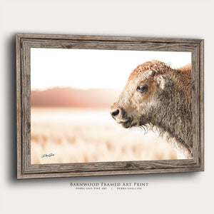 Bison wall art – rustic prairie photography print by Debra Gail Fine Art