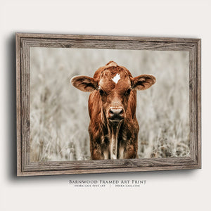 Longhorn cow wall decor canvas – rustic Western fine art print by Debra Gail Fine Art