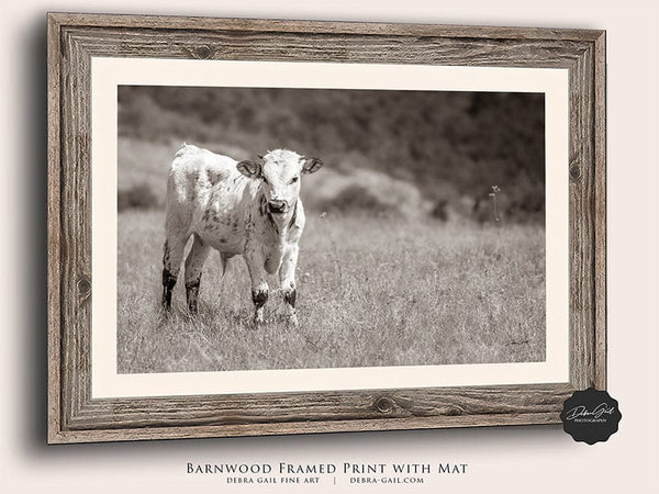 Debra Gail Fine Art Reclaimed Barnwood Framed Print / 10x8 Cute Longhorn Calf Print - Farmhouse Decor