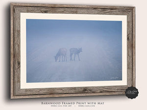 Elk wall art – Western wildlife fine art photography by Debra Gail Fine Art