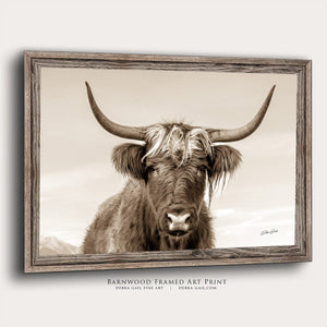 Debra Gail Fine Art Reclaimed Barnwood Framed Print / 10x8 Hairy Cow Canvas Picture - Highland Cow Photography No. 9891