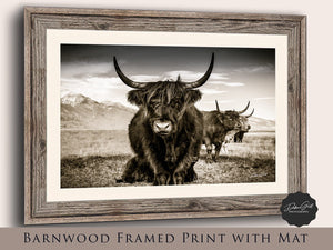Highland cow wall art – rustic farmhouse fine art print by Debra Gail Fine Art