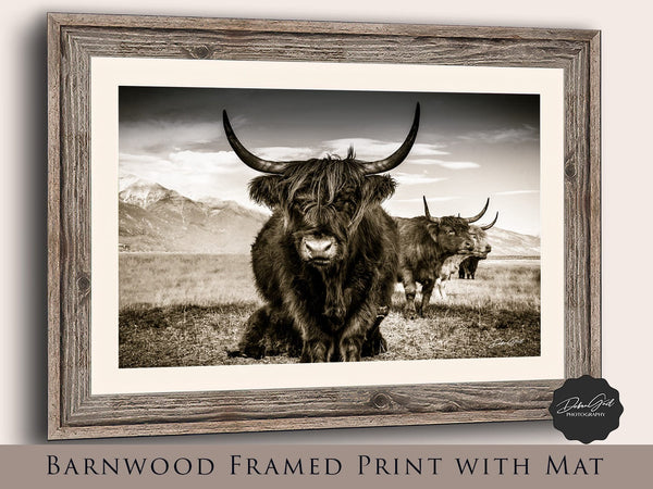 Debra Gail Fine Art Reclaimed Barnwood Framed Print / 10x8 Highland Cattle Close Up Sepia Wall Art No. 9659