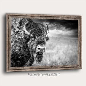 Buffalo wall art – Great Plains wildlife wall decor by Debra Gail Fine Art