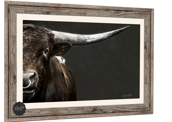 Debra Gail Fine Art Reclaimed Barnwood Framed Print / 10x8 Large Western Decor Longhorn Bull Art Print