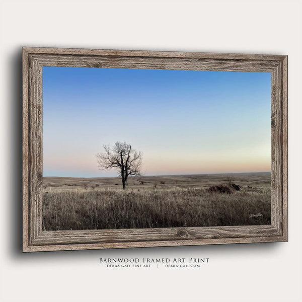 Debra Gail Fine Art Reclaimed Barnwood Framed Print / 10x8 LONE TREE ON THE PRAIRIE - WILD WESTERN GOTHIC DECOR