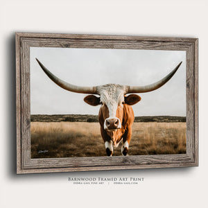 Texas Longhorn wall canvas barnwood framed Western fine art print by Debra Gail Fine Art