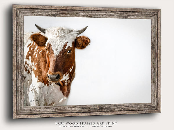 Debra Gail Fine Art Reclaimed Barnwood Framed Print / 10x8 Longhorn Calf Fine Art Print | Rustic Texas Longhorn Wall Art